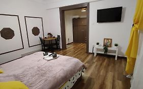 Vlad'S Unirii Home